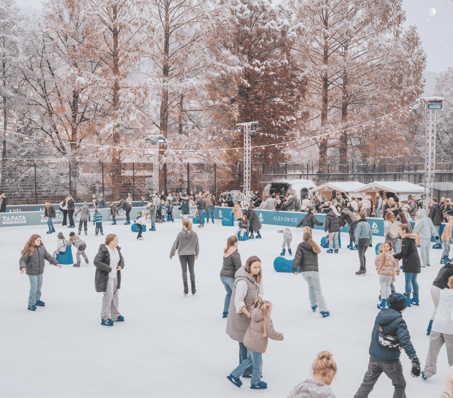 ALEA on ICE